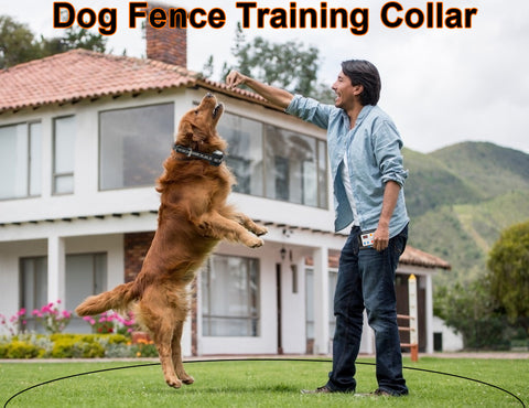 2 in 1 smart pet wireless dog fence system for 2 dogs