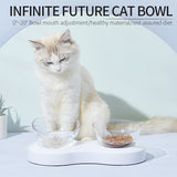 Cat Single And Double Bowl