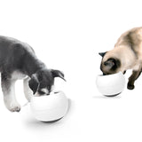 Swing Bowl For Cat and Dog